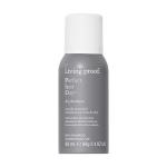 Dry Shampoo - 2.4 oz